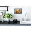Zonnebloemen - Geel - Wazig Muursticker klein -keuken