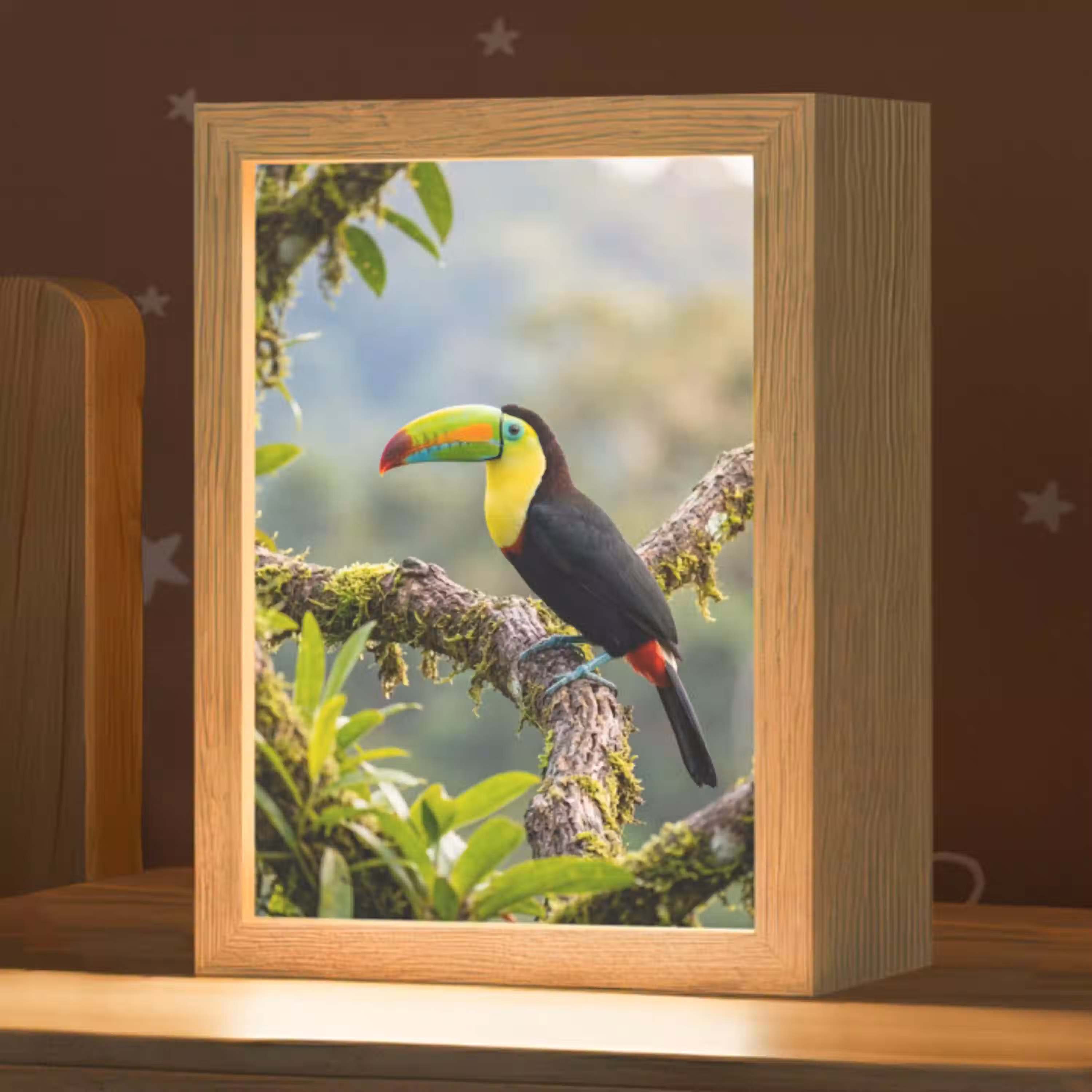 Toekan - Jungle - Natuur - Kleurrijk Light Box met kabel (Kinderlampje) klein -zzz_3d_website