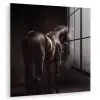 Krachtig - Paard - Donker plexiglas 5mm klein -zzzproduct_nieuw
