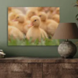 Pijltje - Eend - Natuur - Geel PET vilt klein -sfeer2