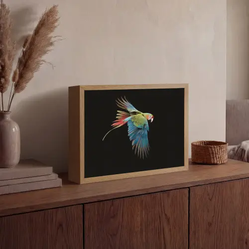 Papegaai - Kleurrijk - Vleugels - Sierlijk Light Box met batterij (Wandlamp) middel -sfeer2