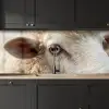 Schaap - Oog - Wit keuken achterwand 2 middel -sfeer1
