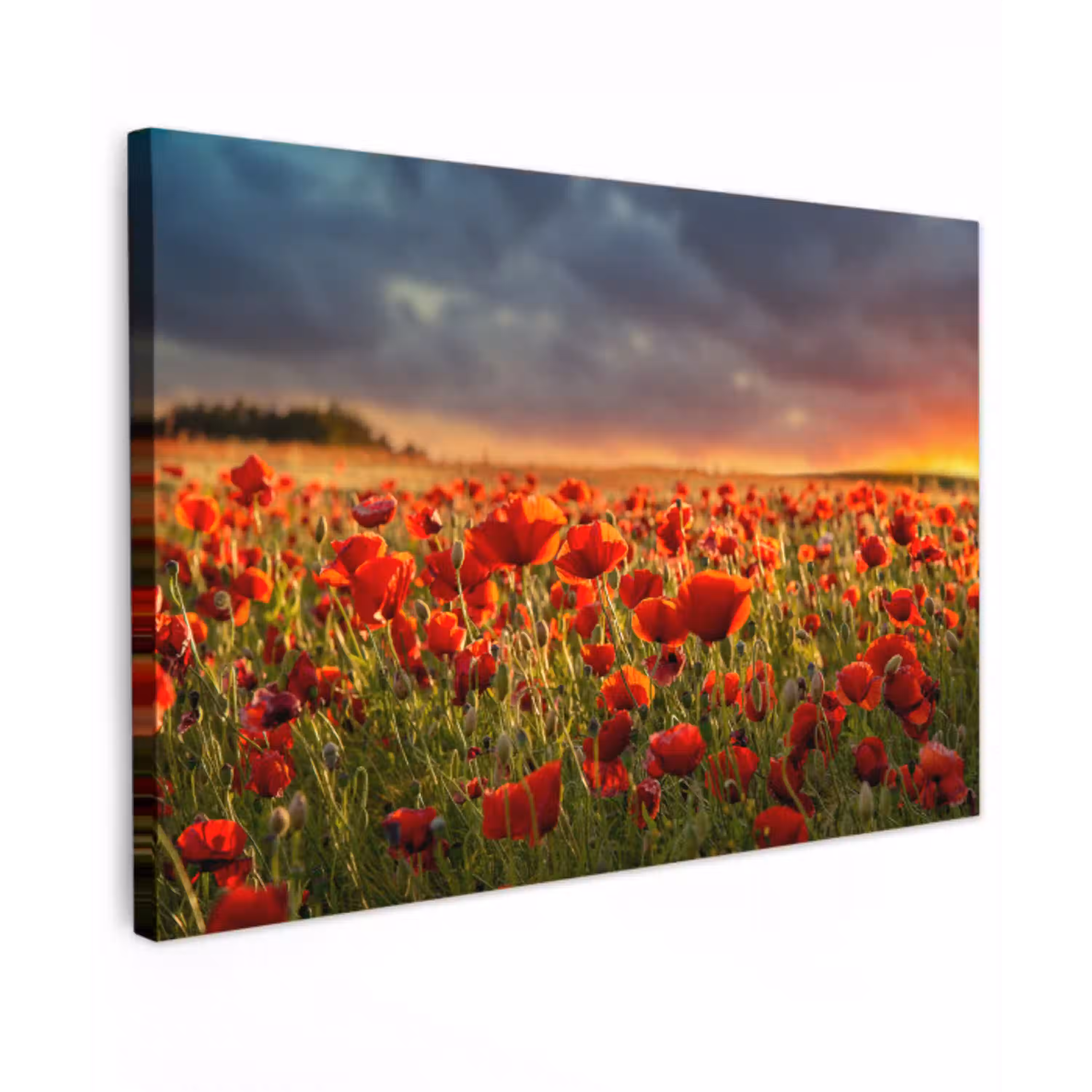 Sonnenuntergang - Mohnblumen - Rot - Blumen - Feld - Natur canvas 2cm klein -z3d