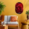 Rood - Roos - Romantisch Wandcirkel Ovaal Forex klein -sfeer4