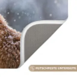 Vos - Sneeuwval - Portret - Winter - Sfeervol Badmat klein -USP_AntislipDE