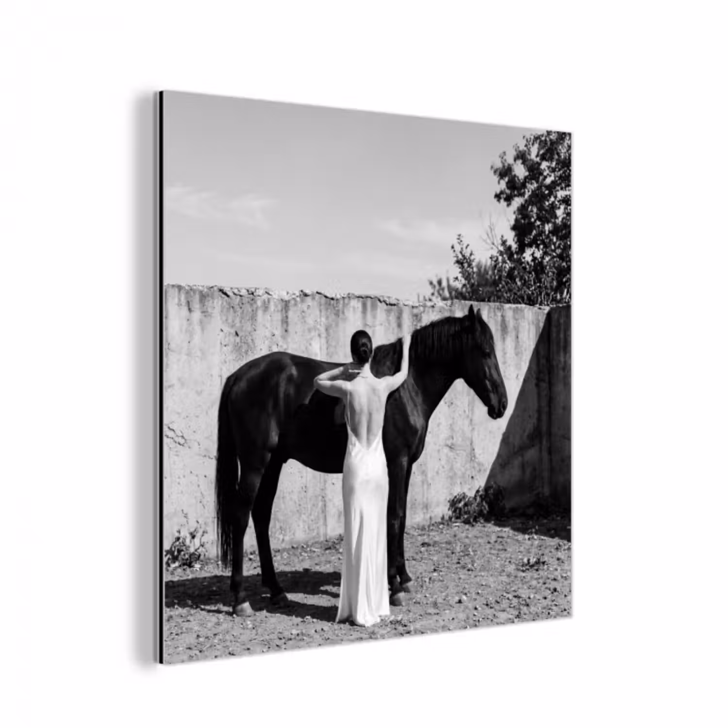 Aluminium schilderij - Vrouw - Paard - Artistiek