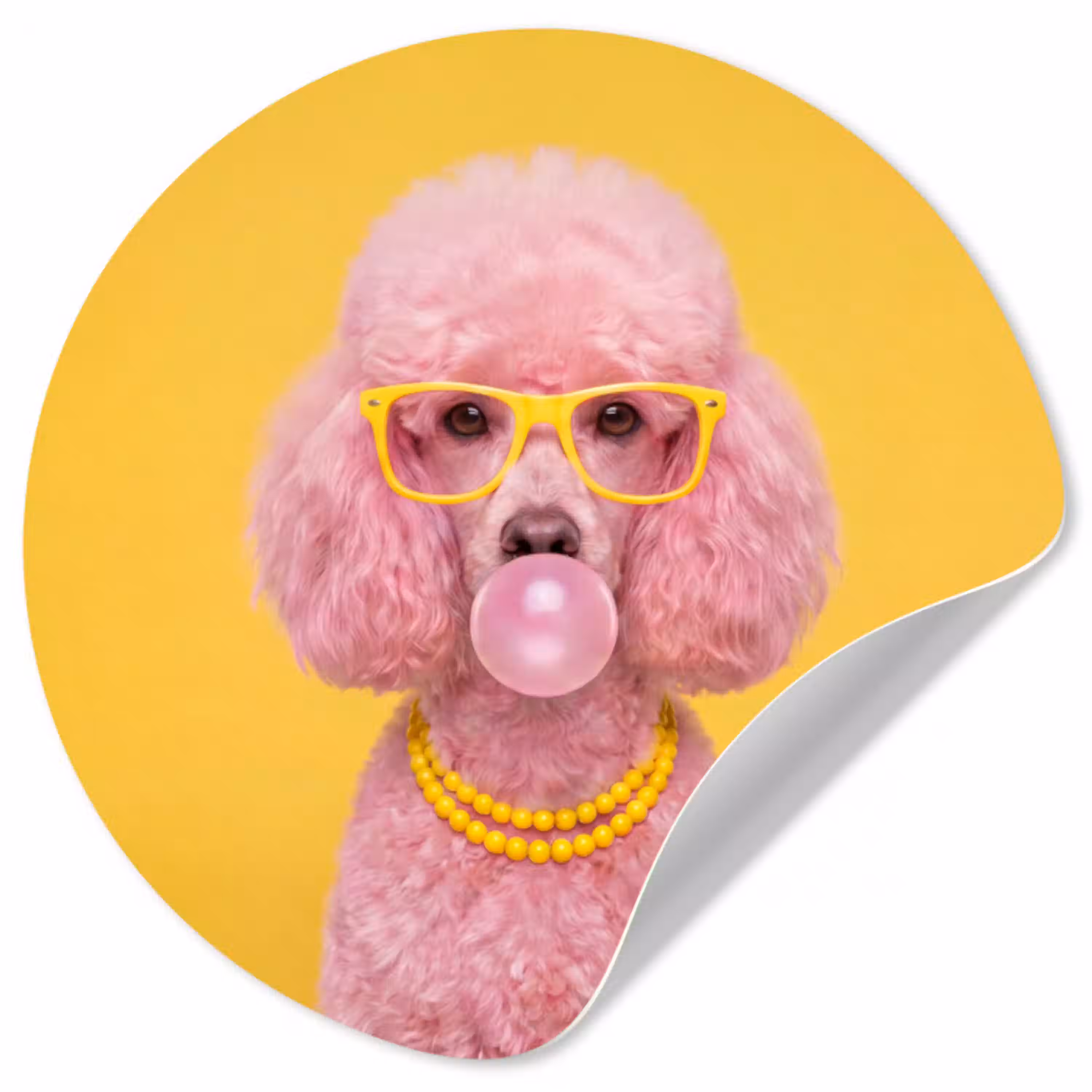 Hond - Kauwgum - Dieren - Modern - Roze Wandcirkel behangsticker klein -3d