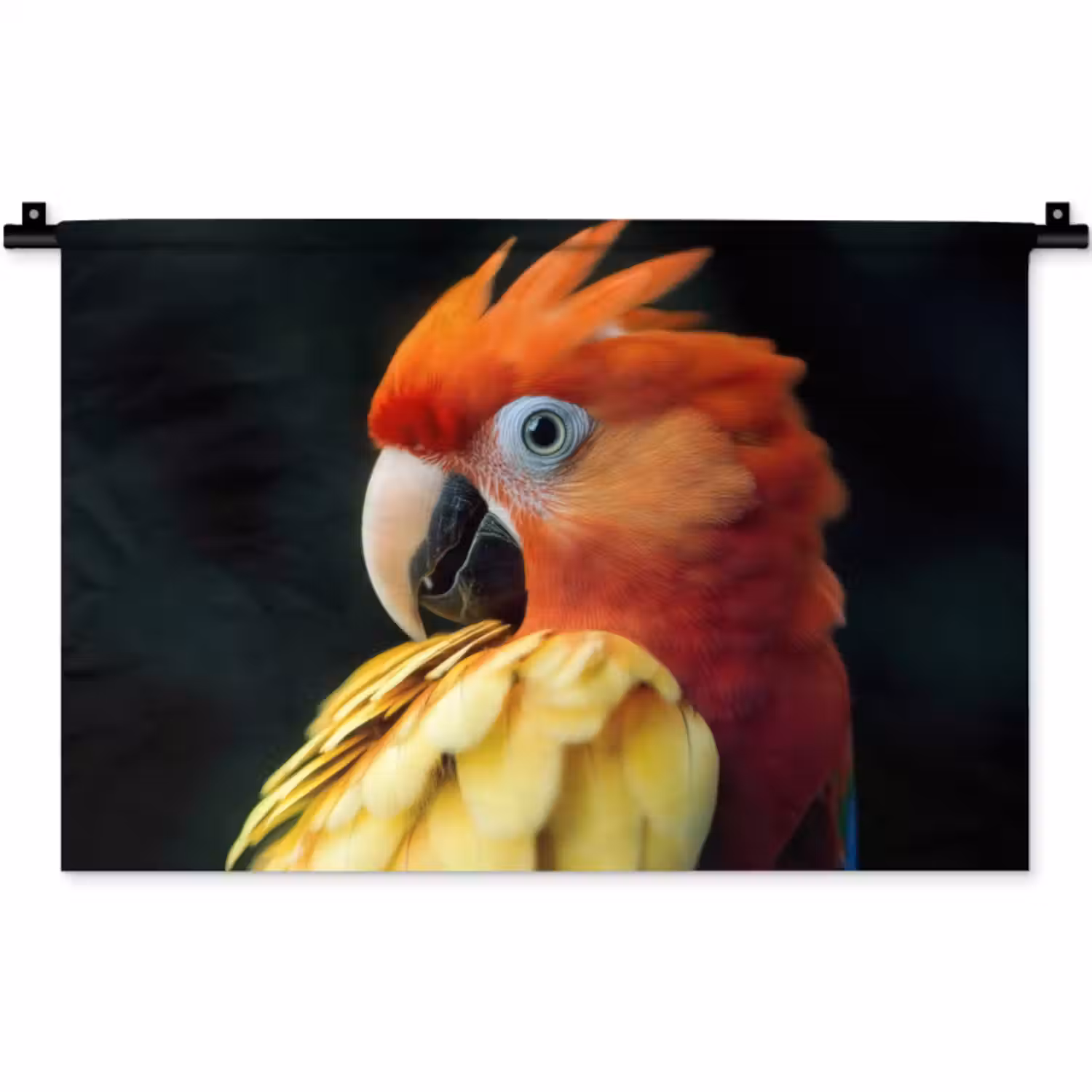 Wandkleed - Close-up - Papegaai - Veren - Oranje