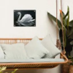 Zwaan - Water - Natuur - Realistisch - Wit tuinposter los doek klein -sfeer7