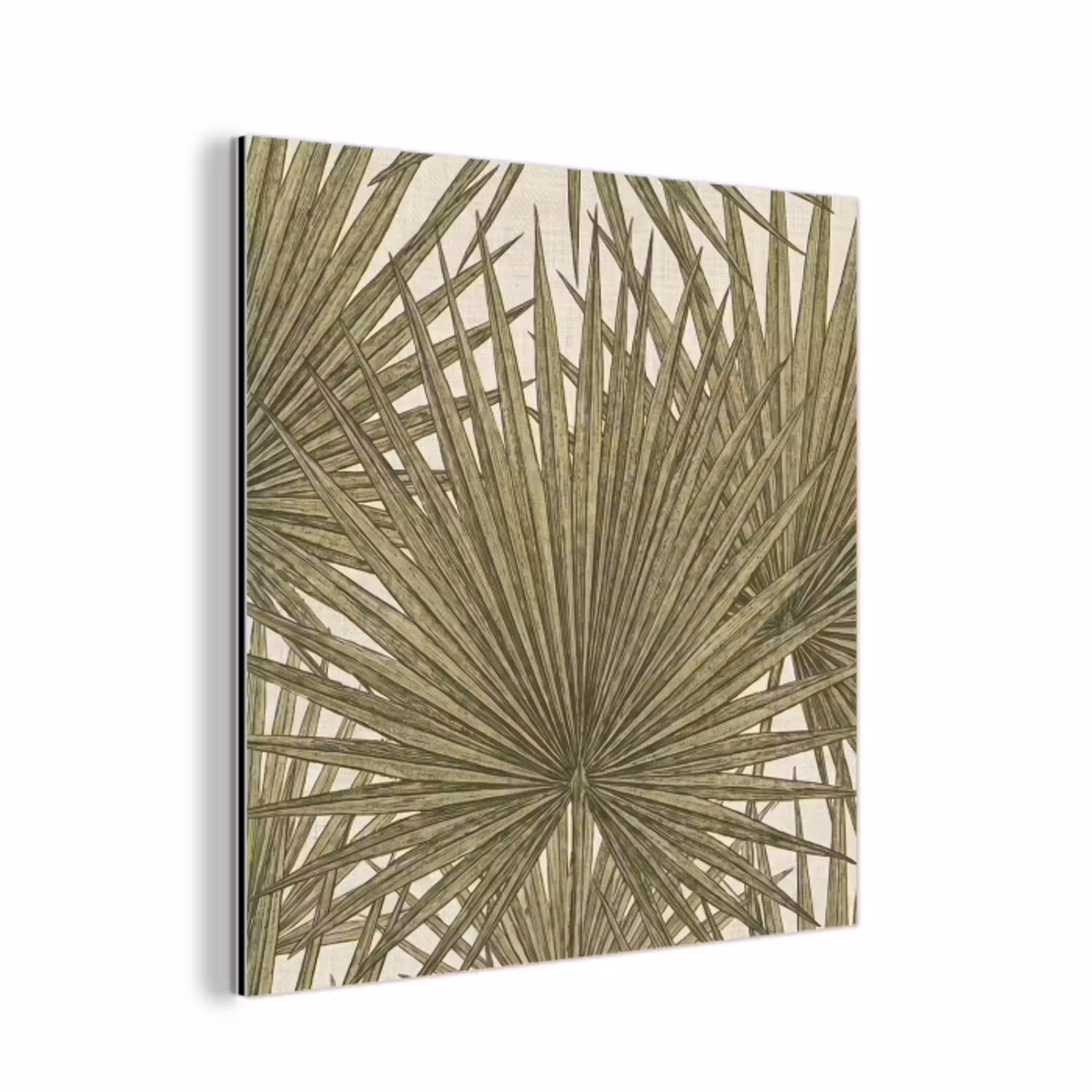 Blad - Tropisch - Patroon - Natuur - Groen aluminium wit klein -3d