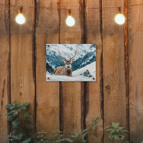 Hert - Landschap - Winter - Natuur - Dieren - Bergen tuinposter los doek klein -sfeer1