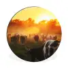 Koeien - Zonsondergang - Weiland - Dieren Wandcirkel aluminium klein -3d