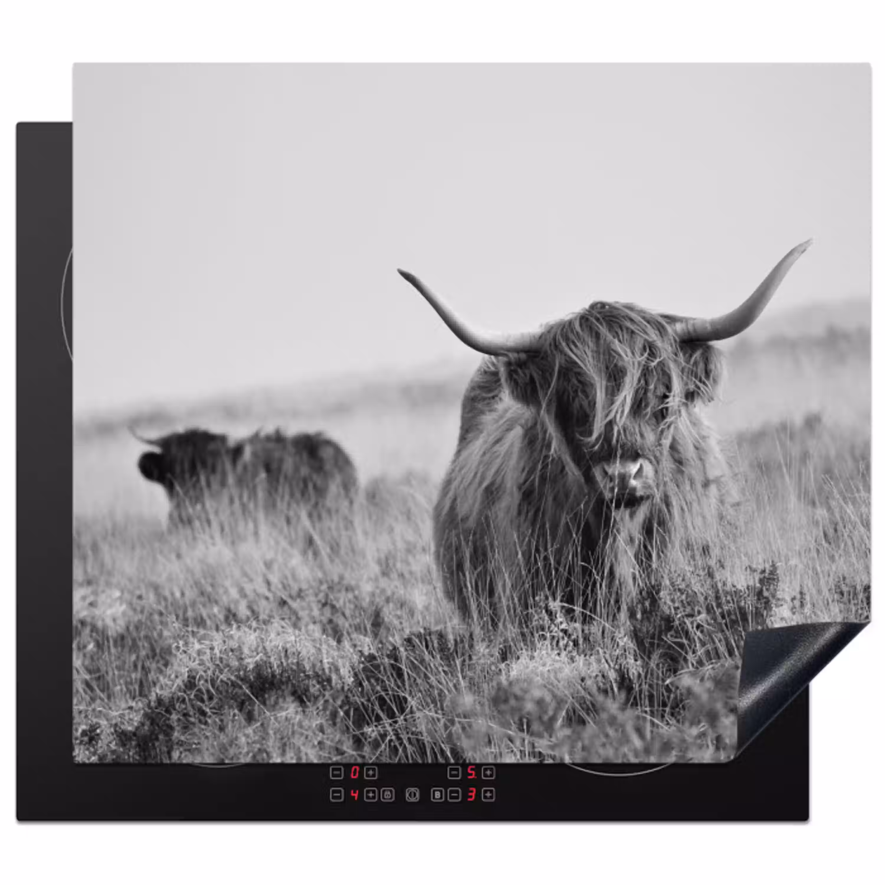 Schotse Hooglander in Monochroom Inductie beschermer vinyl 3mm middel -3d