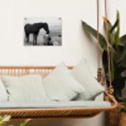 Paard - Auto - Zwart - Wit tuinposter los doek klein -sfeer7