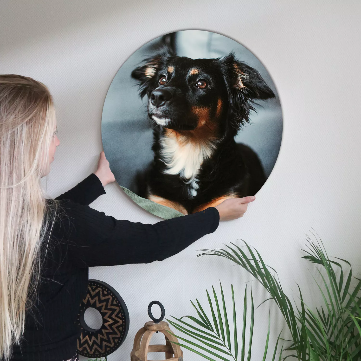 Een vrouw hangt een muurcirkel van een hond aan de muur
