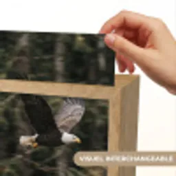 Zeearend - Vliegen - Bos - Natuur Light Box met kabel (Kinderlampje) klein -USP_websiteprintFR