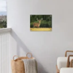 Hert - Gewei - Gras - Natuur - Dieren - Groen tuinposter los doek klein -sfeer8