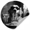 Golden Retriever - Hond - Vrolijk -  Bord spaghetti - Zwart - wit Wandcirkel behangsticker klein -3d