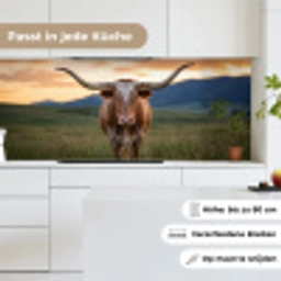 Longhorn - Landschap - Zonsondergang keuken achterwand 2 middel -sfeer4_DE
