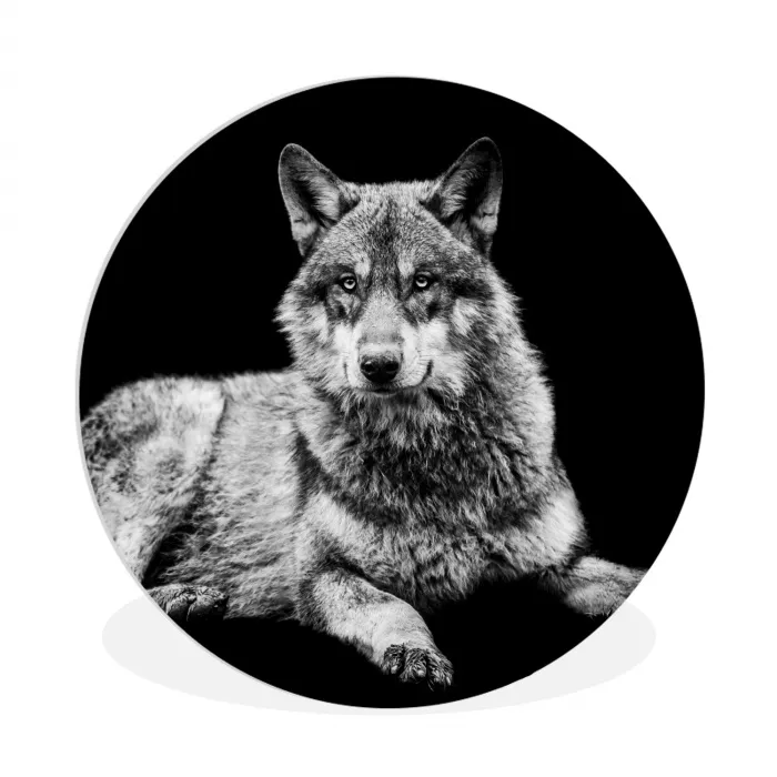 Wilde dieren - Wolf - Zwart - Wit Wandcirkel kunststof plaat 5mm dik klein -3d