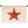 Zeester - Bobbels - Rood Wandkleed katoen klein -zz3d