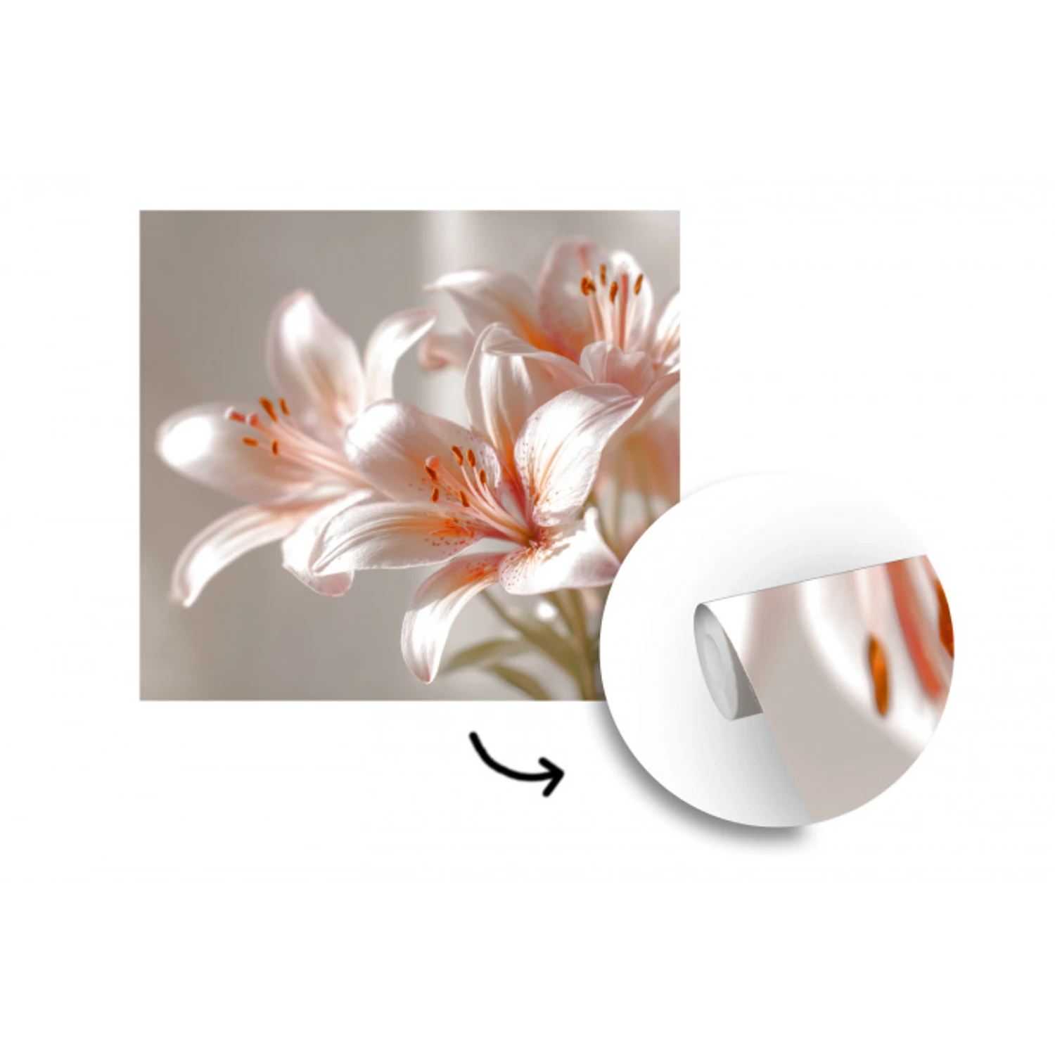 Lelies - Meeldraden - Roze - Wazig fotobehang vinyl groot -3d