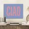Ciao - Roze - Blauw - Golvend PET vilt klein -sfeer1