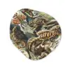 Vintage - Kunst - Ernst Haeckel - Salamanders Wandcirkel Organisch Forex 3mm klein -3d