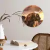 Schotse hooglander - Zon - Horizon - Koe - Dieren Wandcirkel kunststof plaat 5mm dik klein -sfeer4