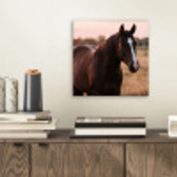 Paard - Zonsondergang - Bruin aluminium wit klein -sfeer1