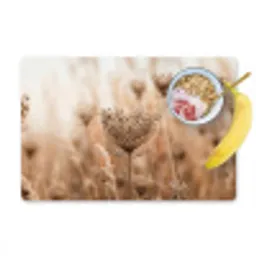 Schermbloem - Droogbloem - Winter - Beige - Minimalistisch Placemat vinyl groot -zzzproduct_Kitchenyeah-website
