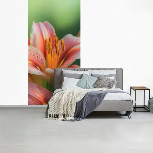 Lelie - Close up - Lichtroze fotobehang vinyl groot -slaapkamer
