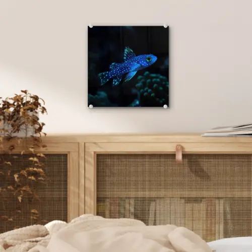 Vis - Stippen - Koraal - Blauw plexiglas 5mm klein -sfeer4
