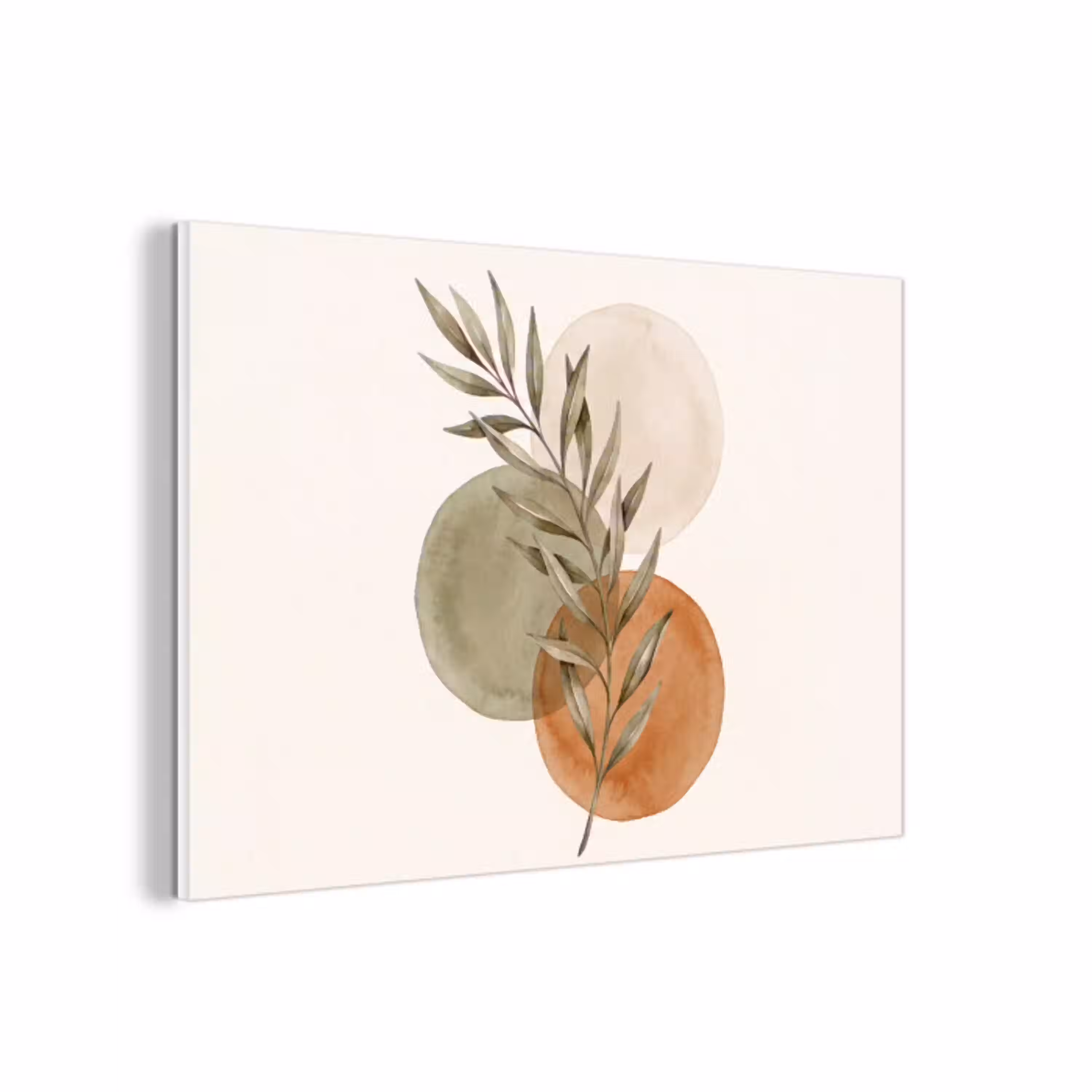 Plant - Cirkels - Abstract forex 5mm xxl -3d
