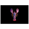 Kreeft - Paars - Roze - Zwart - Stippen - Lila poster papier klein -3d