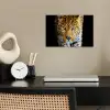 Luipaard - Dieren - Portret - Wilde dieren - Zwart poster papier klein -sfeer1