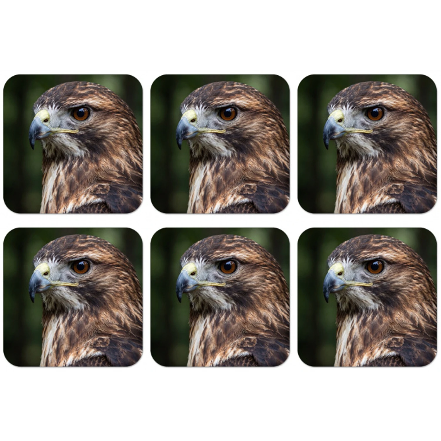 Buizerd - Roofvogel - Natuur - Bruin onderzetter kurk middel -zkaufland3dotto
