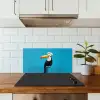 Tucan - Sokkel - Vogel - Koksmuts keuken achterwand spatscherm klein -sfeer2