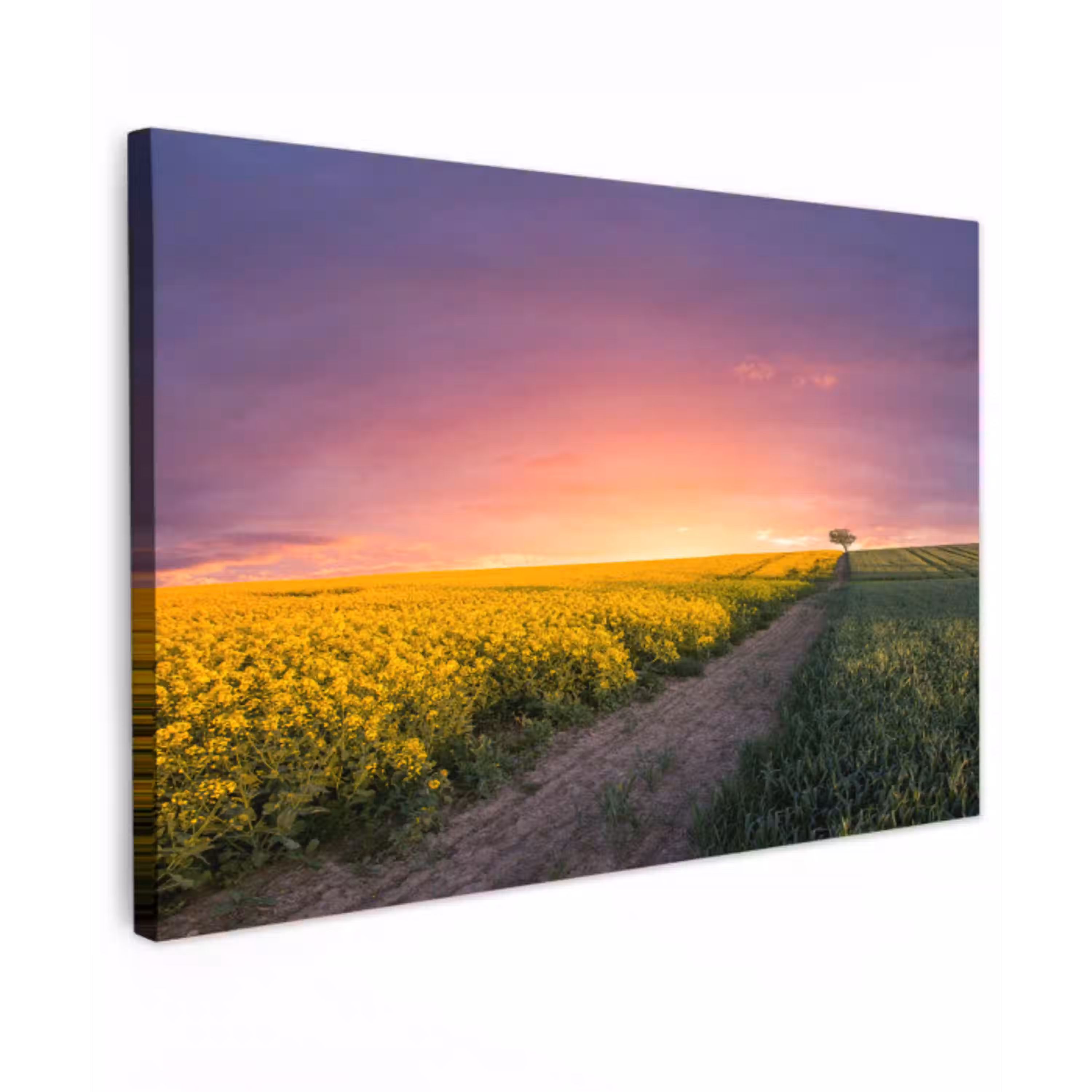Bloemen - Weg - Lucht - Geel - Paars - Zonsondergang - Natuur Tuinposter op houten frame 2 cm dik klein -3d