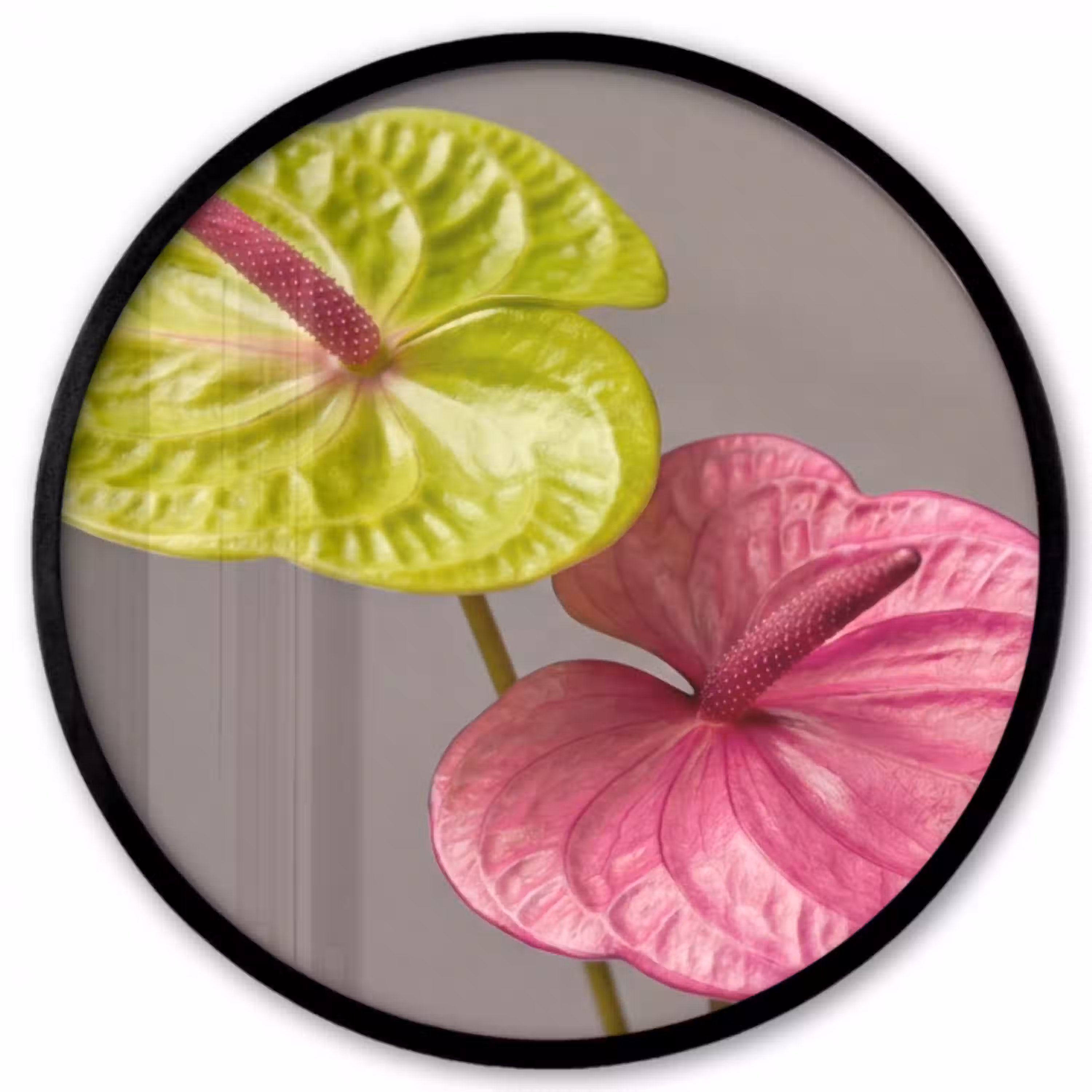 Planten - Anthurium - Groen - Roze Fotolijst rond zonder passe partout klein -3d