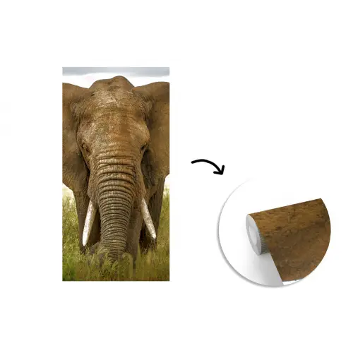 Olifant - Natuur - Gras - Dieren - Landschap fotobehang vinyl groot -3d