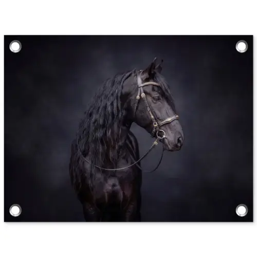 Portret - Paard - Donker tuinposter los doek klein -3d