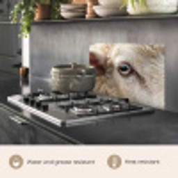 Schaap - Oog - Wit keuken achterwand spatscherm klein -usp_EN