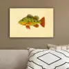 Schubben - Vis - Groen - Illustratie canvas 2cm klein -sfeer3
