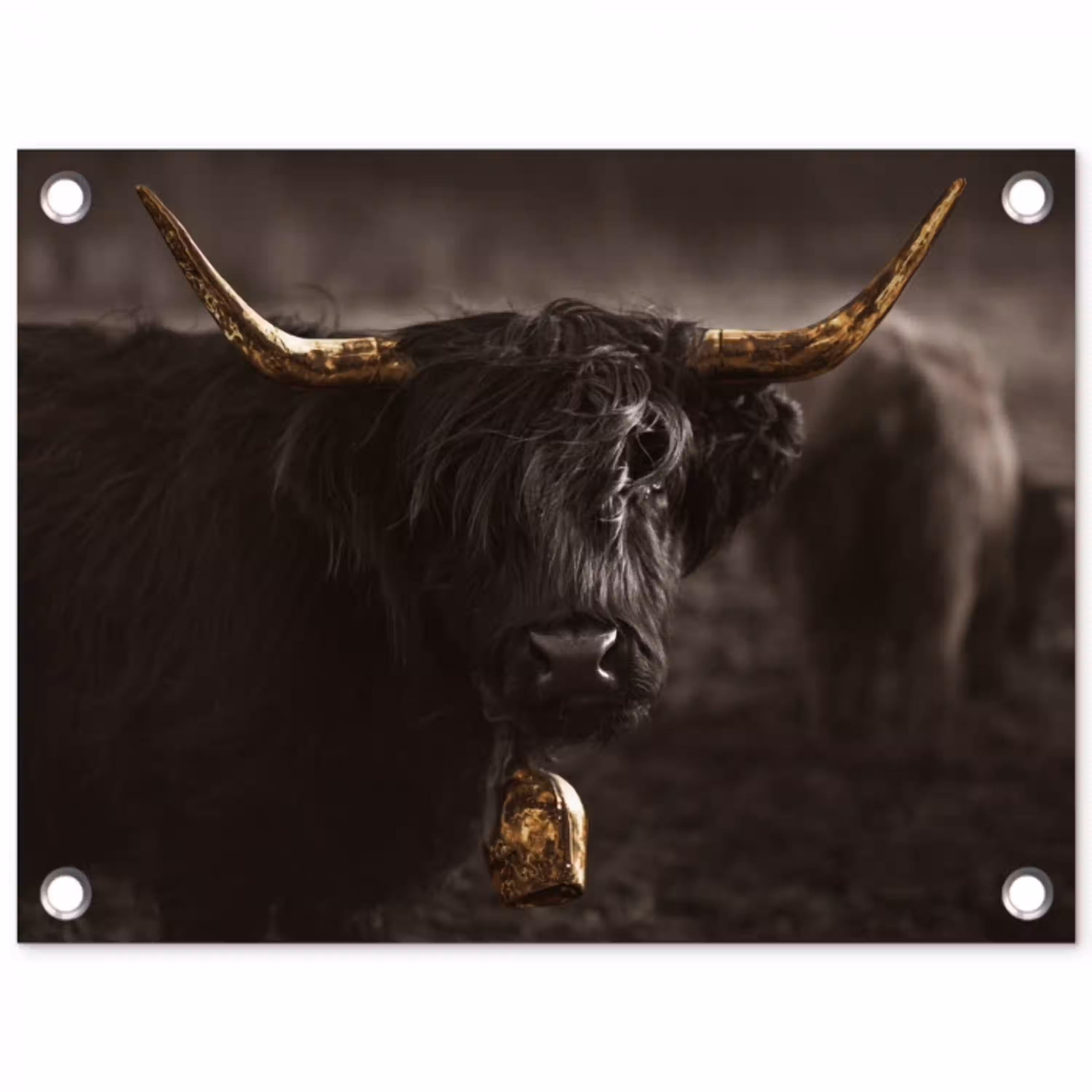 Schotse hooglander - Goud - Koebel - Hoorns - Dieren tuinposter los doek klein -3d
