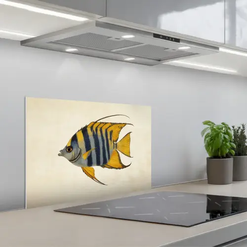 Vis - Sierlijk - Vinnen - Illustratie keuken achterwand spatscherm klein -3d_schuin