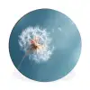 Paardenbloem - Wind - Blauw Wandcirkel aluminium klein -3d