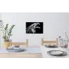 Adelaar - Portret - Roofvogels - Zwart - Wit - Vogel Muursticker klein -eettafel