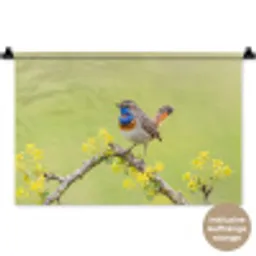 Vogel - Tak - Natuur - Kleurrijk Wandkleed katoen klein -t3d_DE