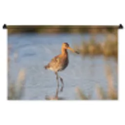 Vogel - Steltloper - Water - Natuur Wandkleed katoen middel -zz3d